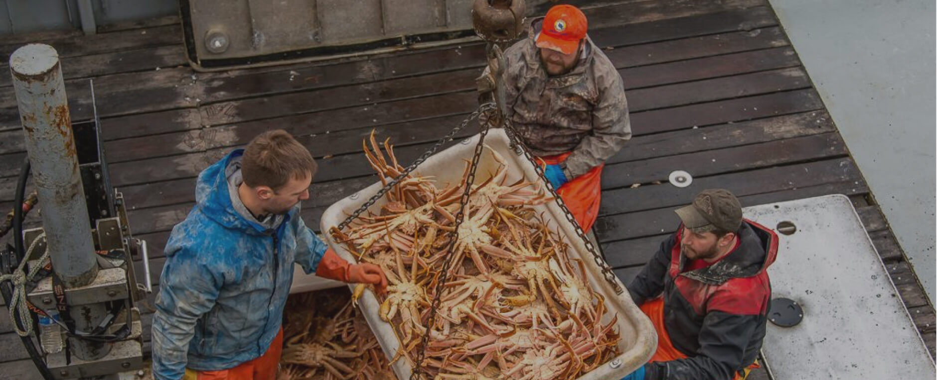 Processing, and how we deliver freshness